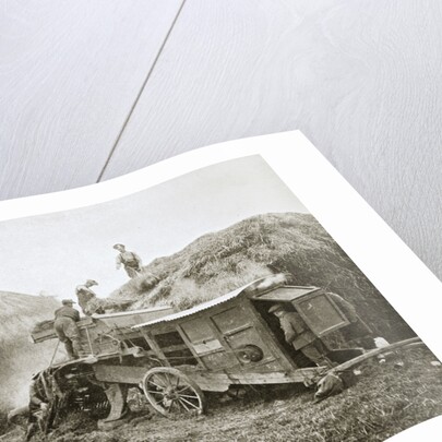 Threshing for straw for soldiers' use by Anonymous