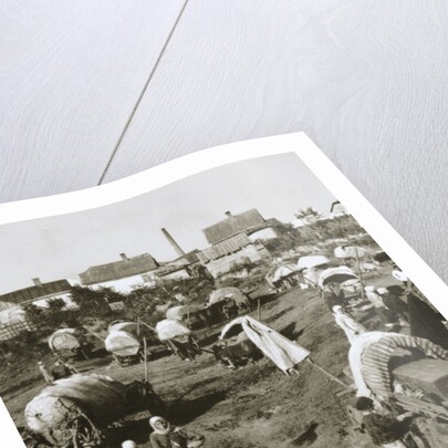 The Polish emigrant exodus by Anonymous