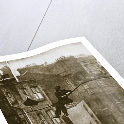 Inspecting a telephone cable between Conduit and Maddox Streets by Anonymous