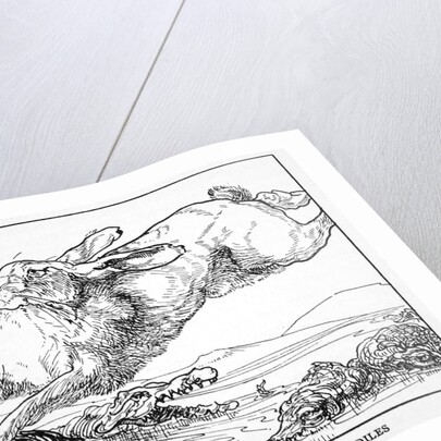 The Hare and the Bridge of Crocodiles by Anonymous