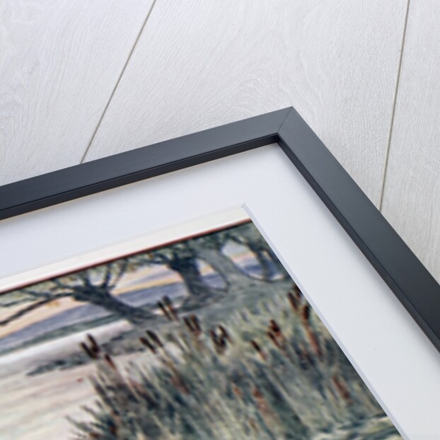 The Death Journey of the Lily Maid of Astolat by Anonymous