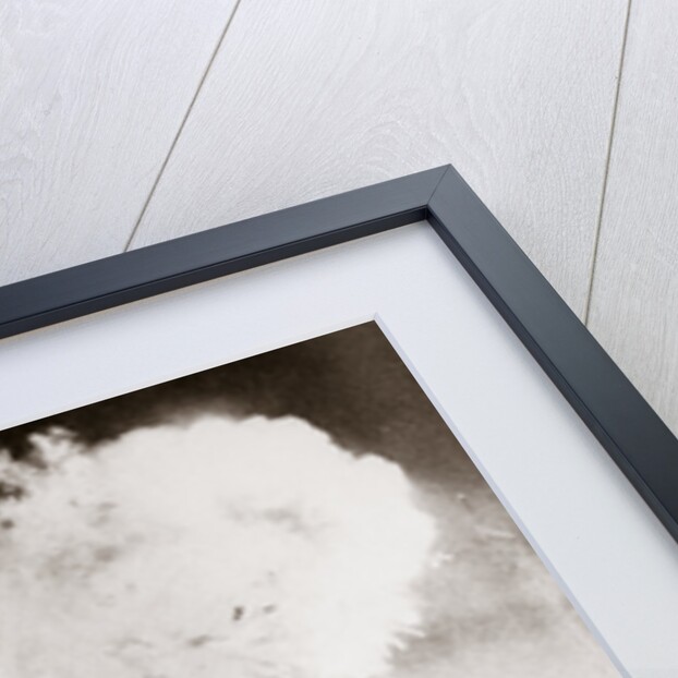 The German airship 'Hindenburg' blows up by Anonymous