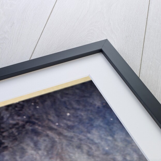 The sleep of Brunnhilde by Arthur Rackham