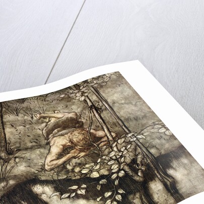 Siegfried sees himself in the stream by Arthur Rackham