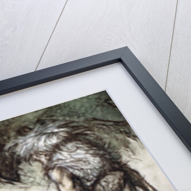 Mime finds the mother of Siegfried in the forest by Arthur Rackham