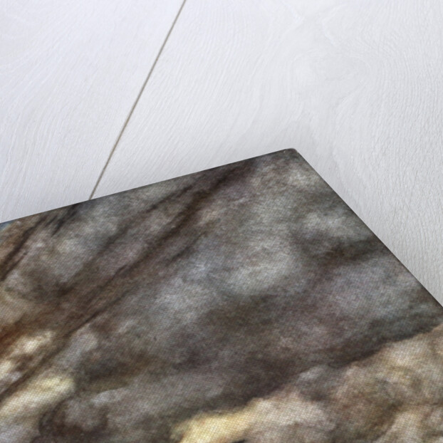 The ravens of Wotan by Arthur Rackham