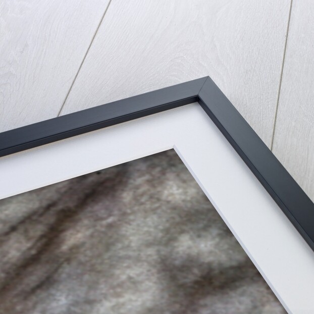 The ravens of Wotan by Arthur Rackham