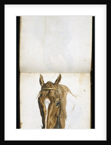 Horse's Head by Edwin Henry Landseer