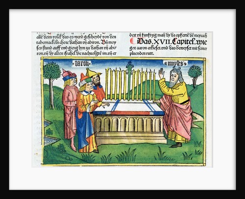 Numbers 17:1-11: Aaron's staff blooms on the altar by Anonymous