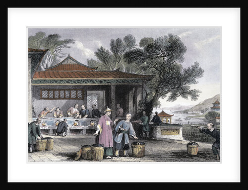The Culture and Preparation of Tea by Thomas Allom