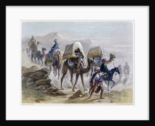 The Camel Train by Rouargue Brothers