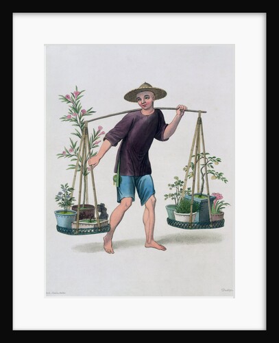 A Porter with Fruit Trees and Flowers by J Dadley