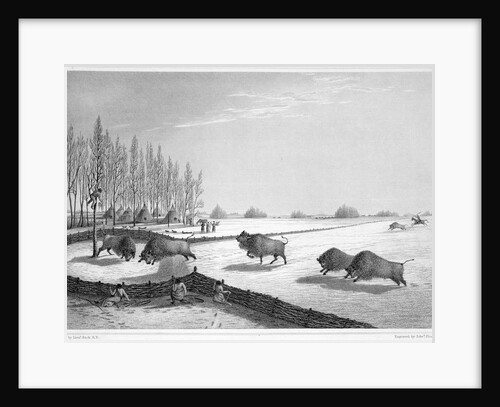 A buffalo pound by Edward Finden