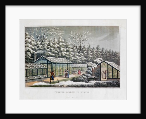 Forcing Garden in Winter by Humphry Repton