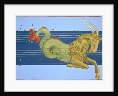 Constellation of Capricorn by Alexander Mair