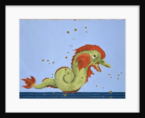 Constellation of Pisces by Alexander Mair