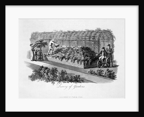 Luxury of Gardens by Humphry Repton
