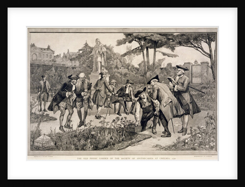 The Old Physic Garden of the Society of Apothecaries at Chelsea by Thomas W Lascelles