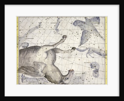 Constellation of Pegasus by Anonymous