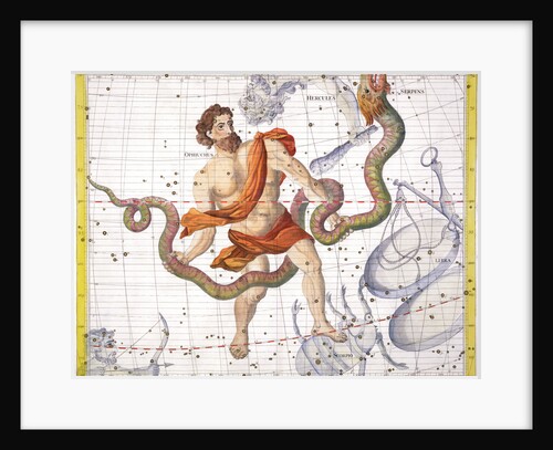 Constellation of Ophiucus by Anonymous