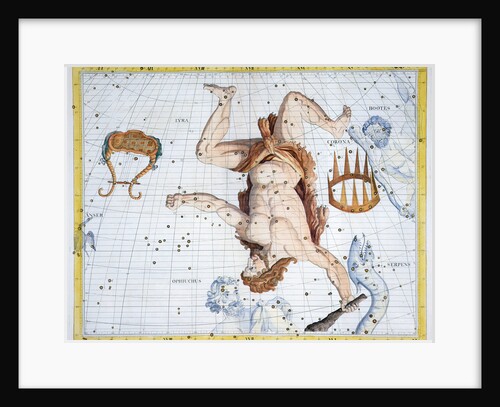 Constellations of Hercules by Anonymous