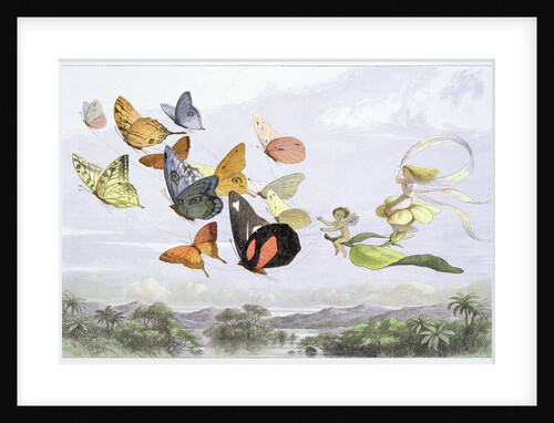 The Fairy Queen's Carriage by Richard Doyle