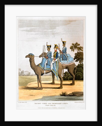 Rocket Corps and Dromedary Corps by Havell & Son