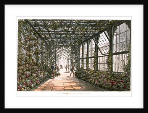 Corridor of a conservatory by Joseph Constantine Stadler
