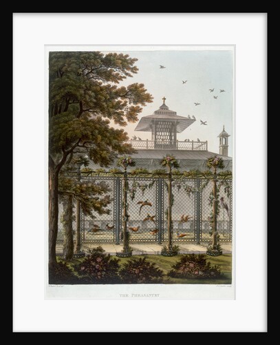 The Pheasantry by Joseph Constantine Stadler