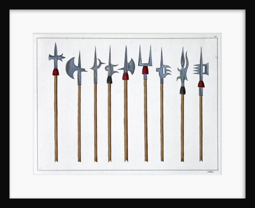 Lances, spears, halberds and partisanes by Friedrich Martin von Reibisch