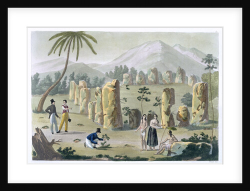 House of the Ancients by G Bramati