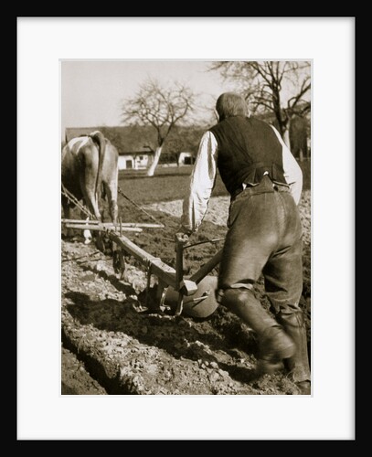 A farmer at work, ploughing a field by Anonymous
