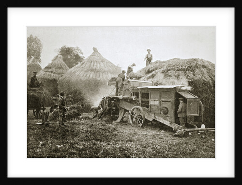 Threshing for straw for soldiers' use by Anonymous