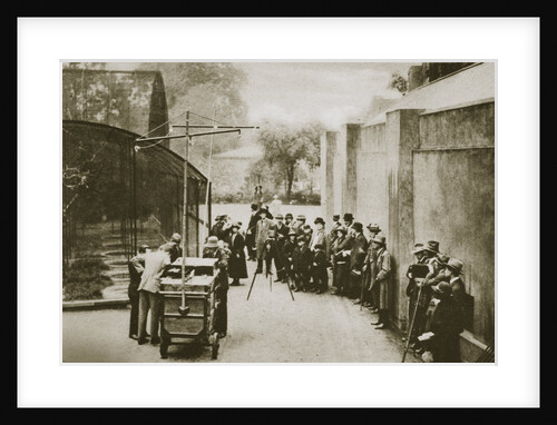 BBC broadcast from the aviary at London Zoo by Anonymous