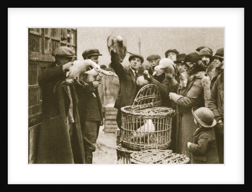 Buying live poultry at a 'Pedlars' Market' at the Caledonian Market by Anonymous