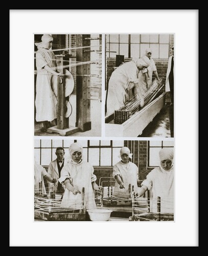 Preparing cat gut at the London Hospital's own factory by Anonymous