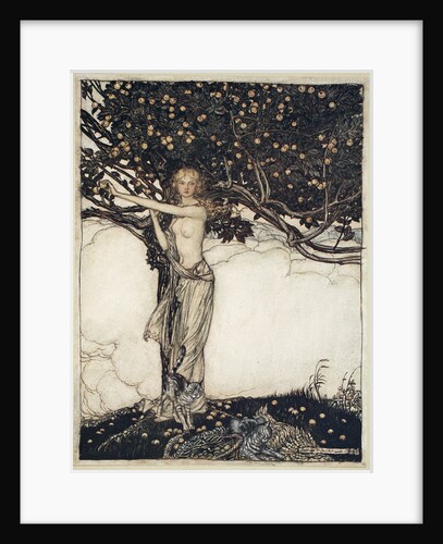 Freia, the fair one by Arthur Rackham