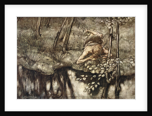 Siegfried sees himself in the stream by Arthur Rackham