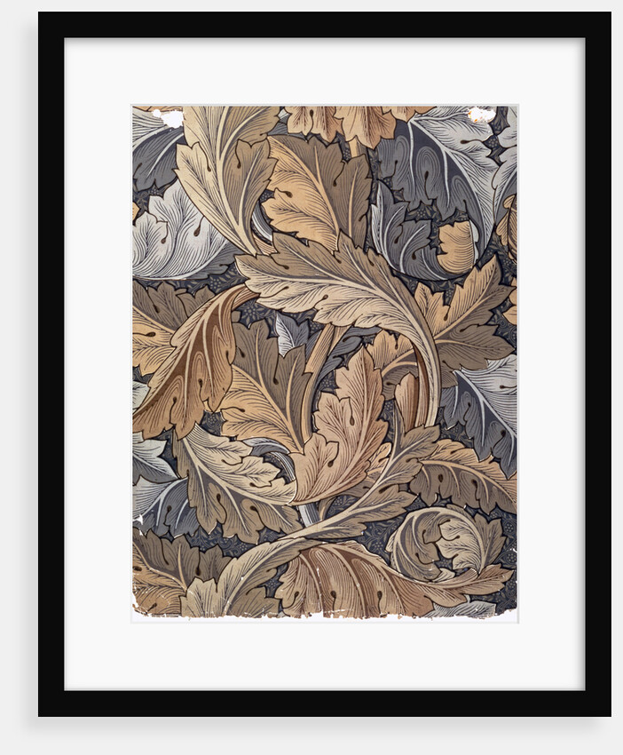 Acanthus by William Morris