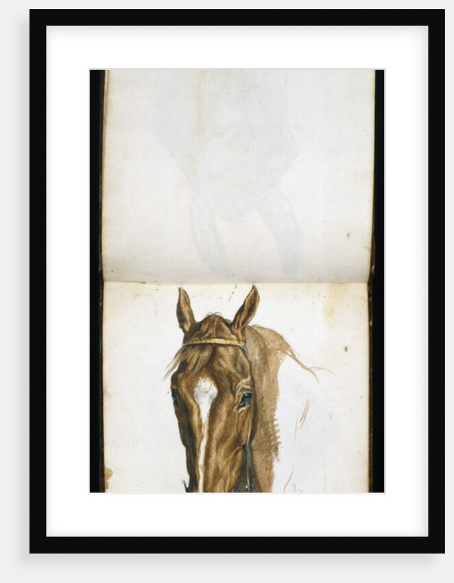 Horse's Head by Edwin Henry Landseer