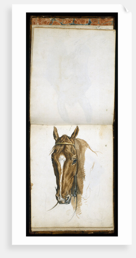 Horse's Head by Edwin Henry Landseer