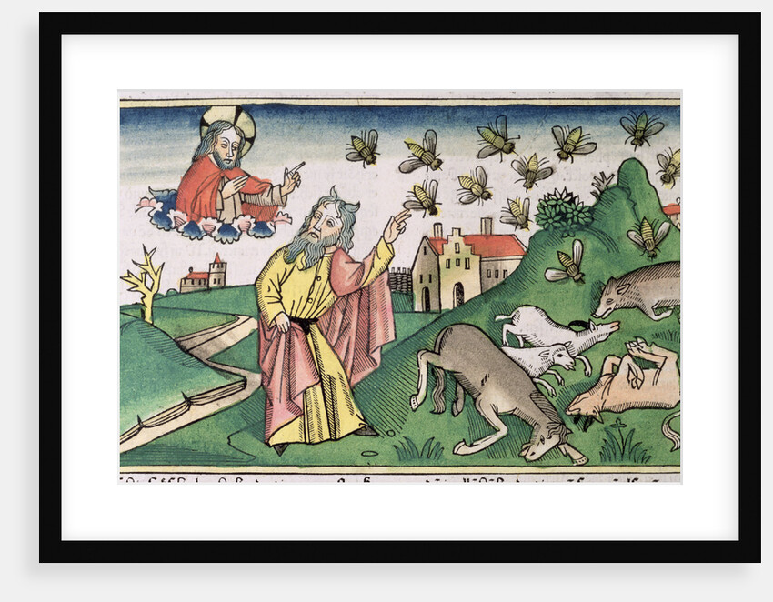 Exodus 8:20-32: Moses and the swarm of flies, one of the Seven Plagues of Egypt by Anonymous