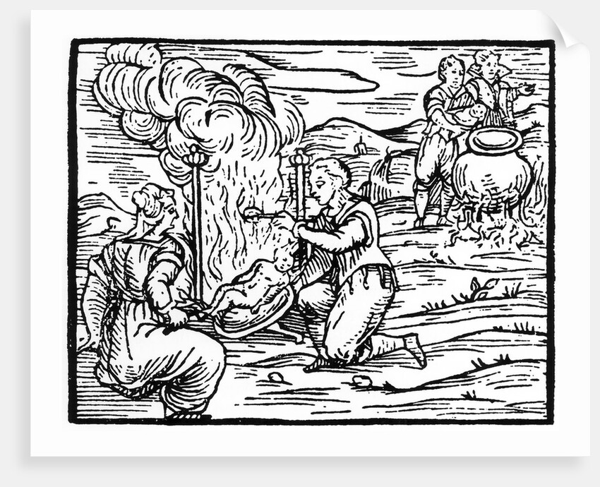 Witches roasting and boiling infants by Anonymous