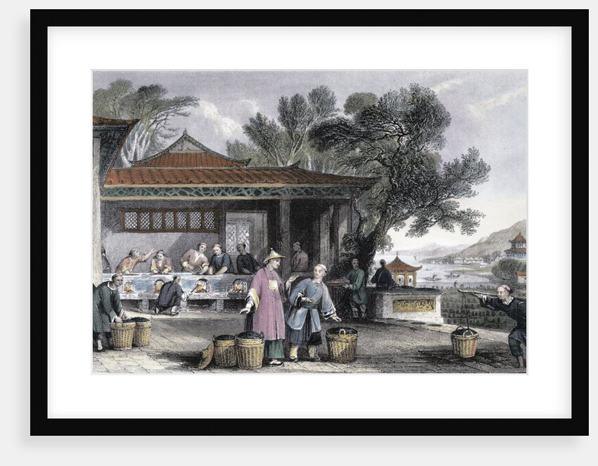 The Culture and Preparation of Tea by Thomas Allom