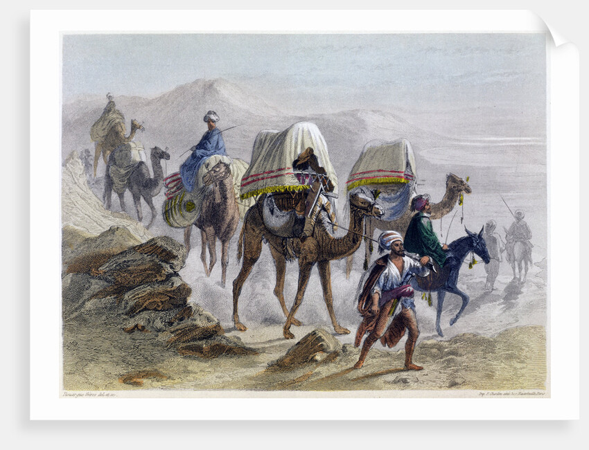 The Camel Train by Rouargue Brothers