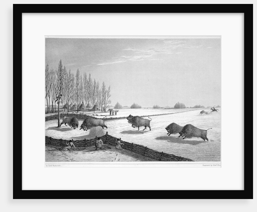 A buffalo pound by Edward Finden