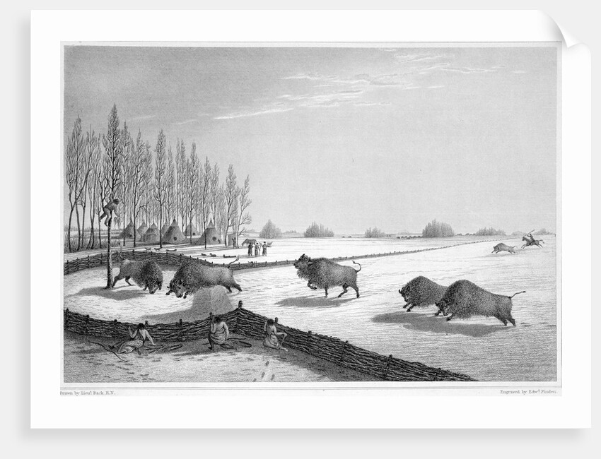 A buffalo pound by Edward Finden
