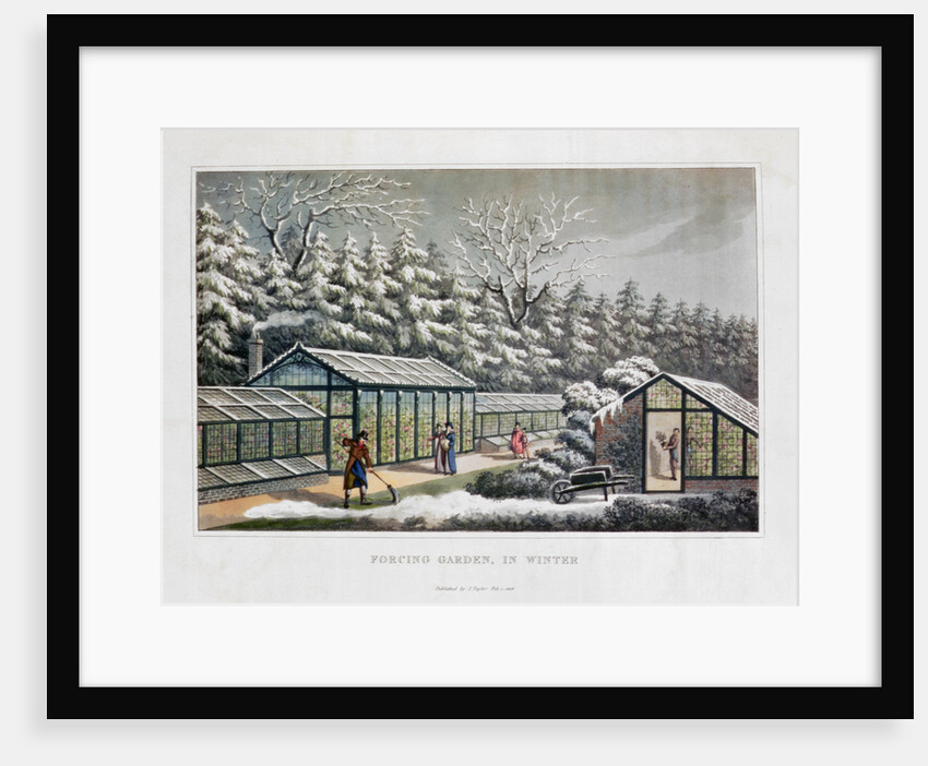 Forcing Garden in Winter by Humphry Repton