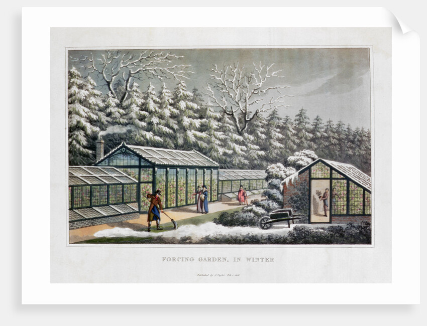 Forcing Garden in Winter by Humphry Repton