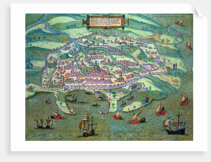 Map of Alexandria by Joris Hoefnagel